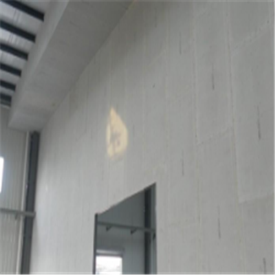 晋源宁波ALC板|EPS加气板隔墙与混凝土整浇联接的实验研讨